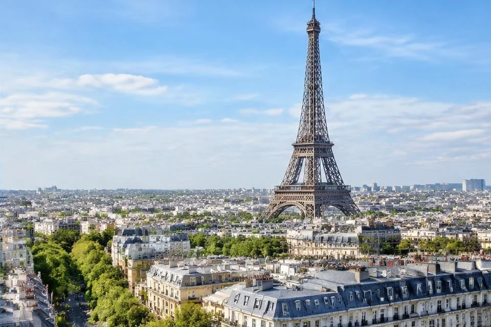 Online Reputation Management in Germany and France